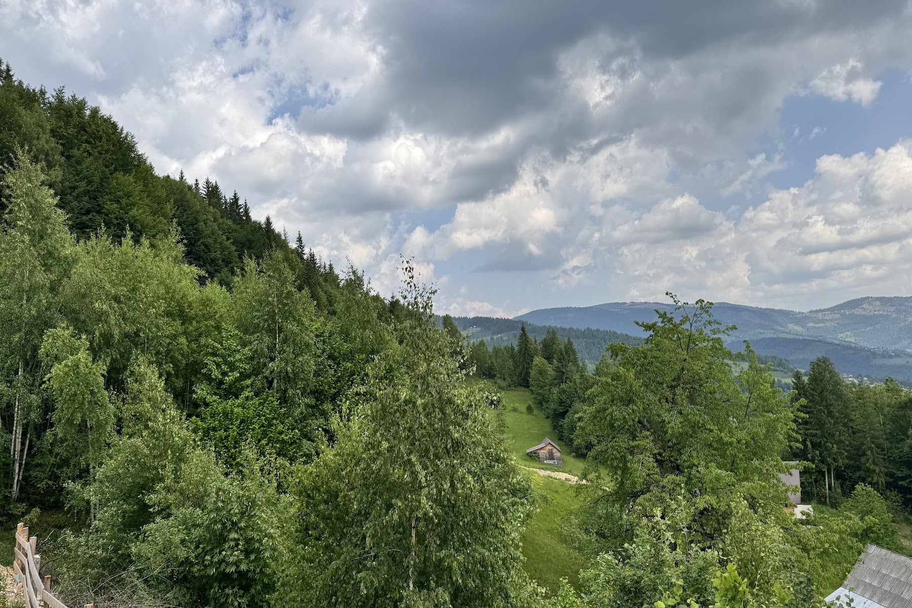 Peisaj din Munții Apuseni — fotografia 7